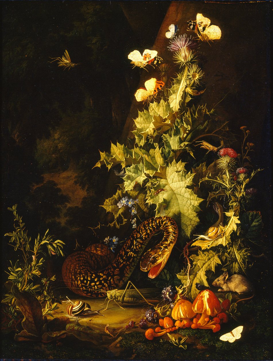 Stilleben med en orm, tidigt 1700-tal av Elias van den Broeck