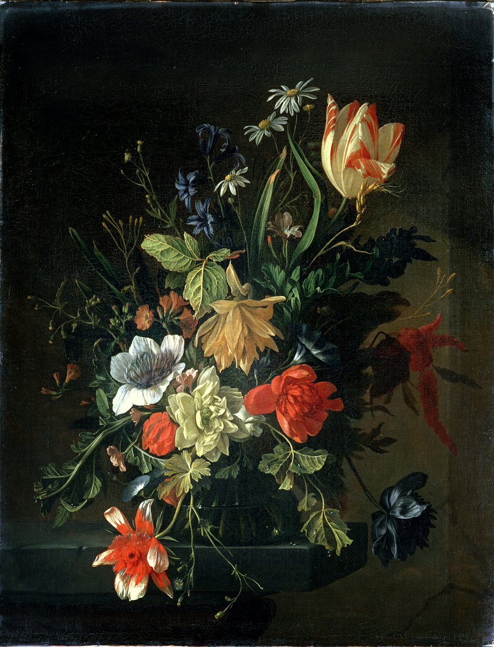 Okänd bild av Elias van den Broeck