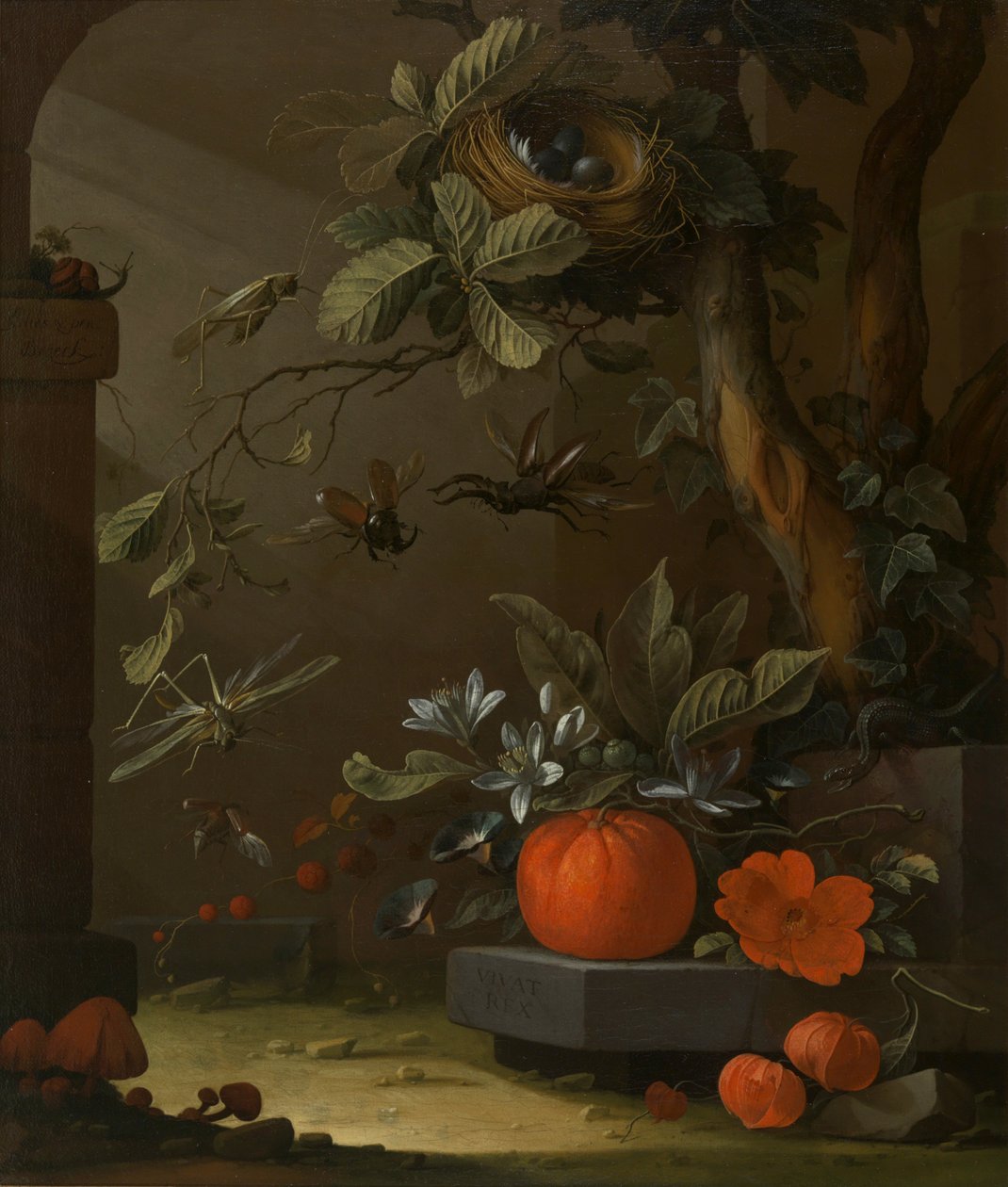 Vivat Rex av Elias van den Broeck