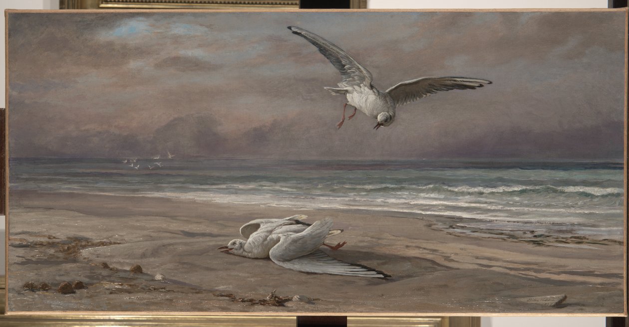 Den döende sjömåsen, 1879 av Elihu Vedder
