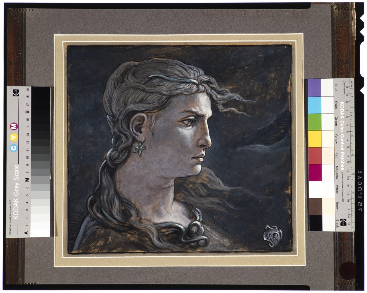 Chef för Medusa, 1878 av Elihu Vedder