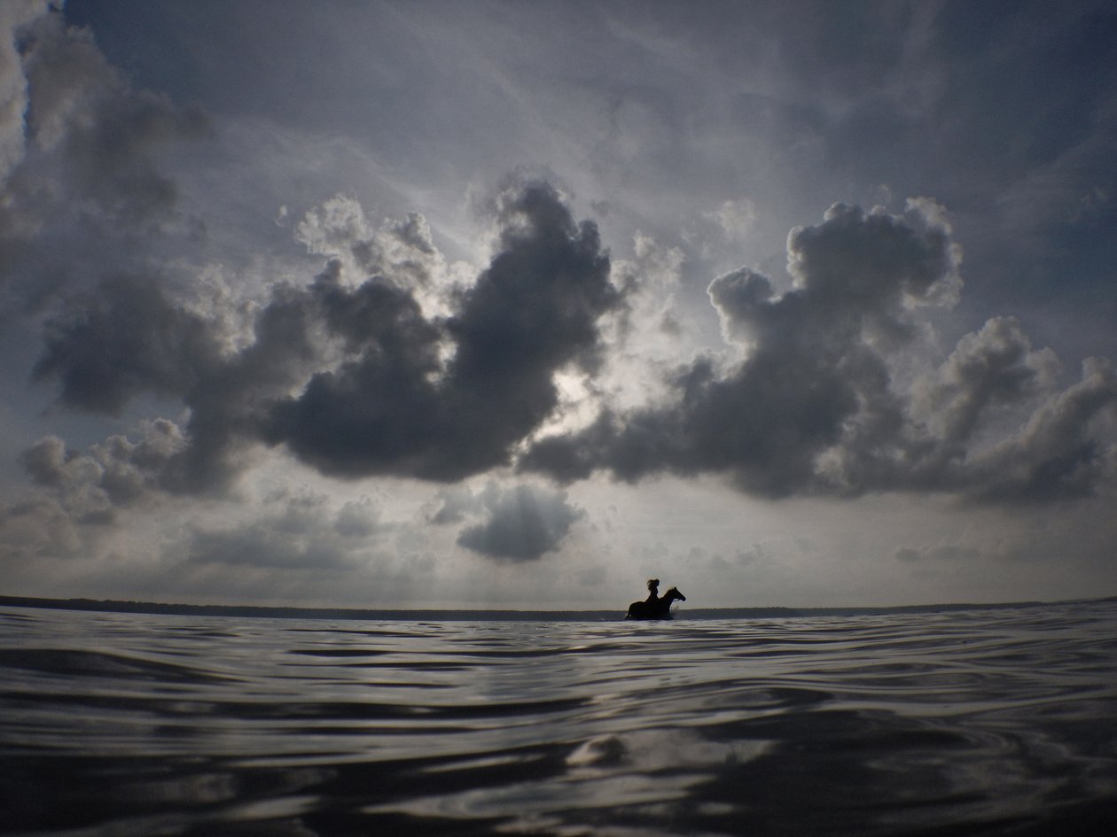 Horse Horizon, 2014 (screentryck) av Elinleticia Högabo