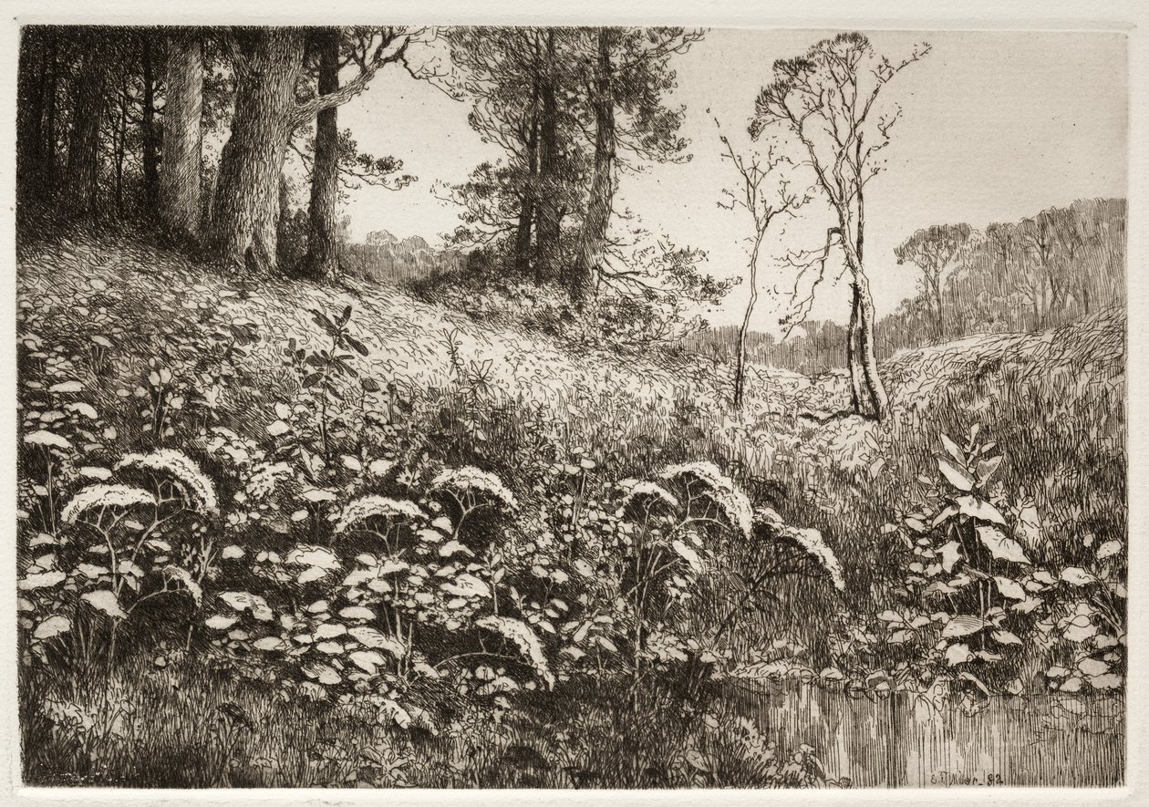 En sommareftermiddag, 1882. av Elis F. Miller