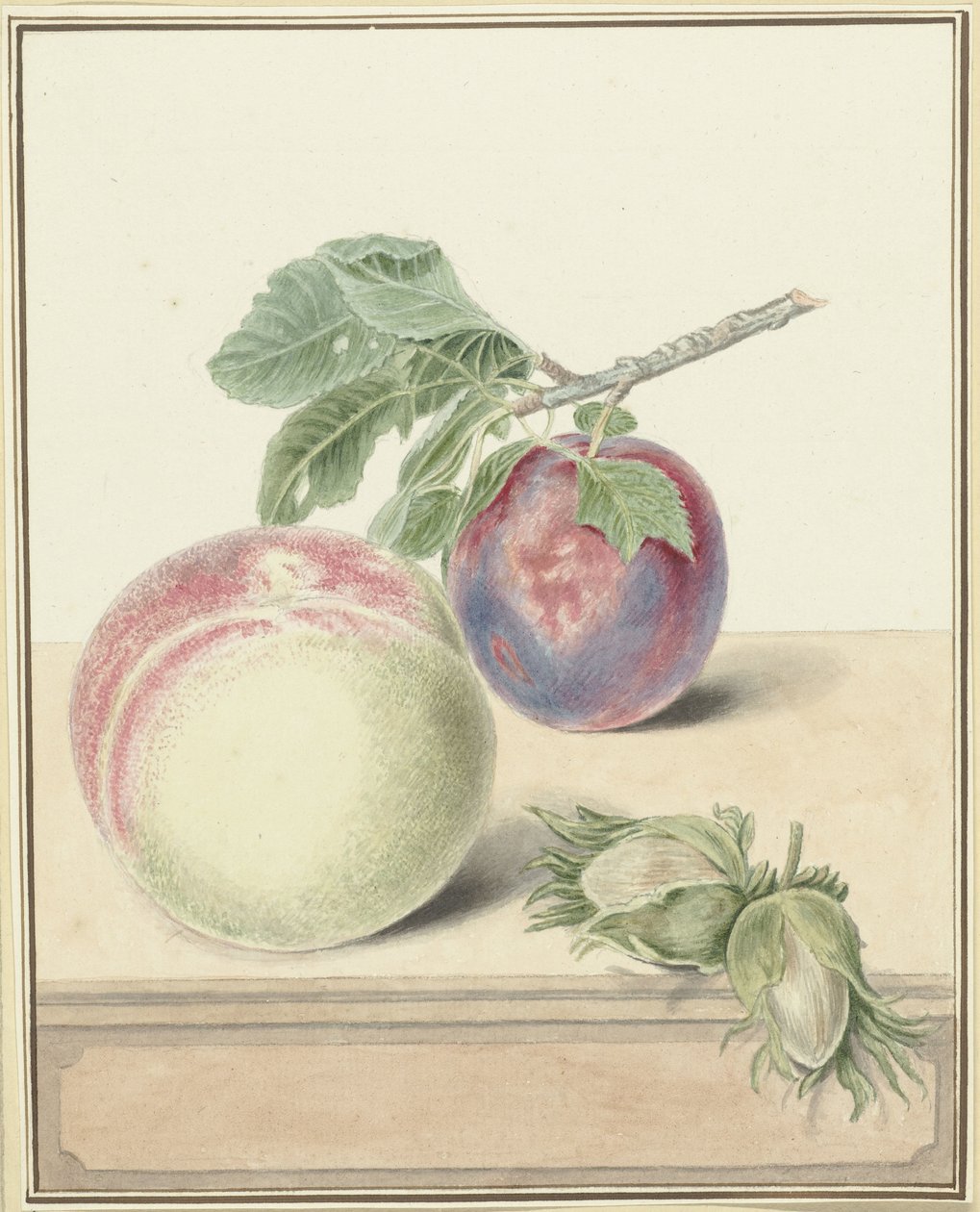Persika, ett plommon med blad och några nötter av Elisabeth Geertruida van de Kasteele