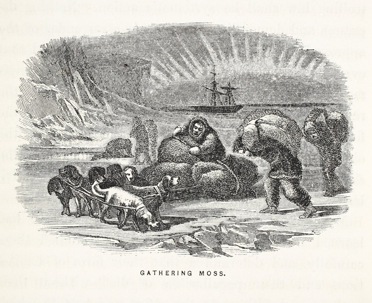 Gathering Moss, illustration från "The second Grinnell Expedition in Search of Sir John Franklin...", 1856 av Elisha Kane