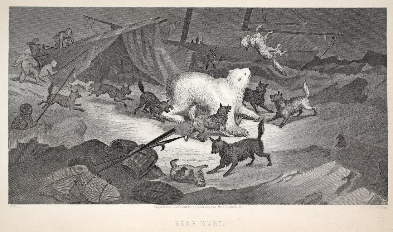 Bear Hunt, illustration från "The second Grinnell Expedition in Search of Sir John Franklin...", 1856 av Elisha Kane