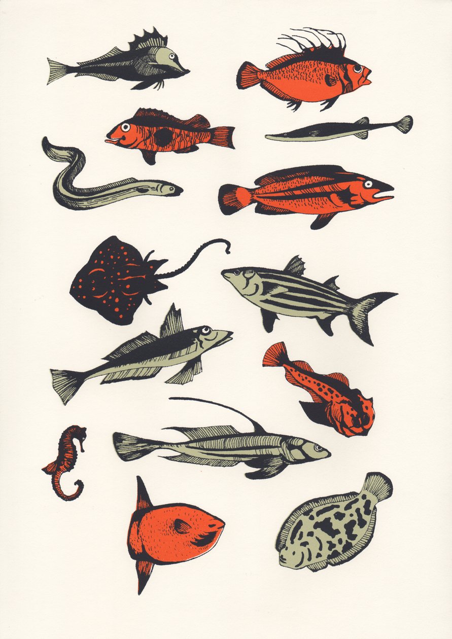 Orange Plain Fish, 2016 (manustryck) av Eliza Southwood