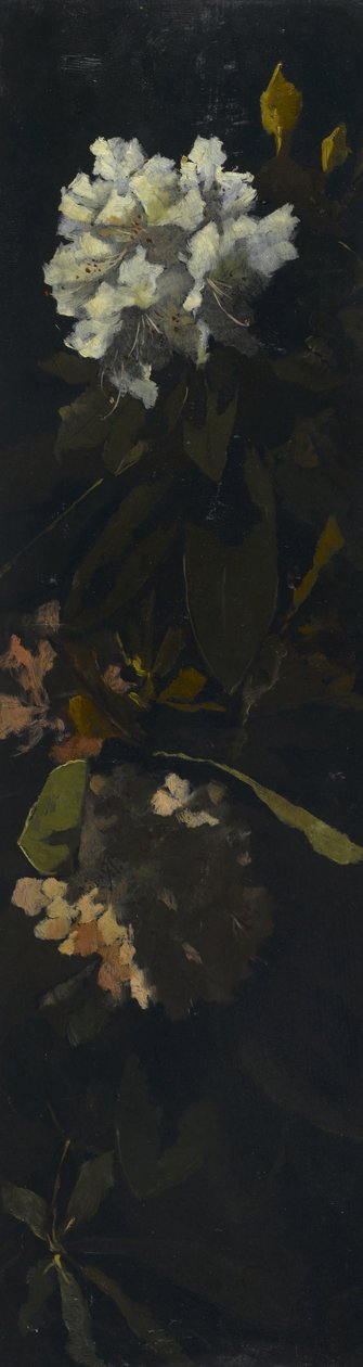 Rhododendron av Elizabeth Boott Duveneck