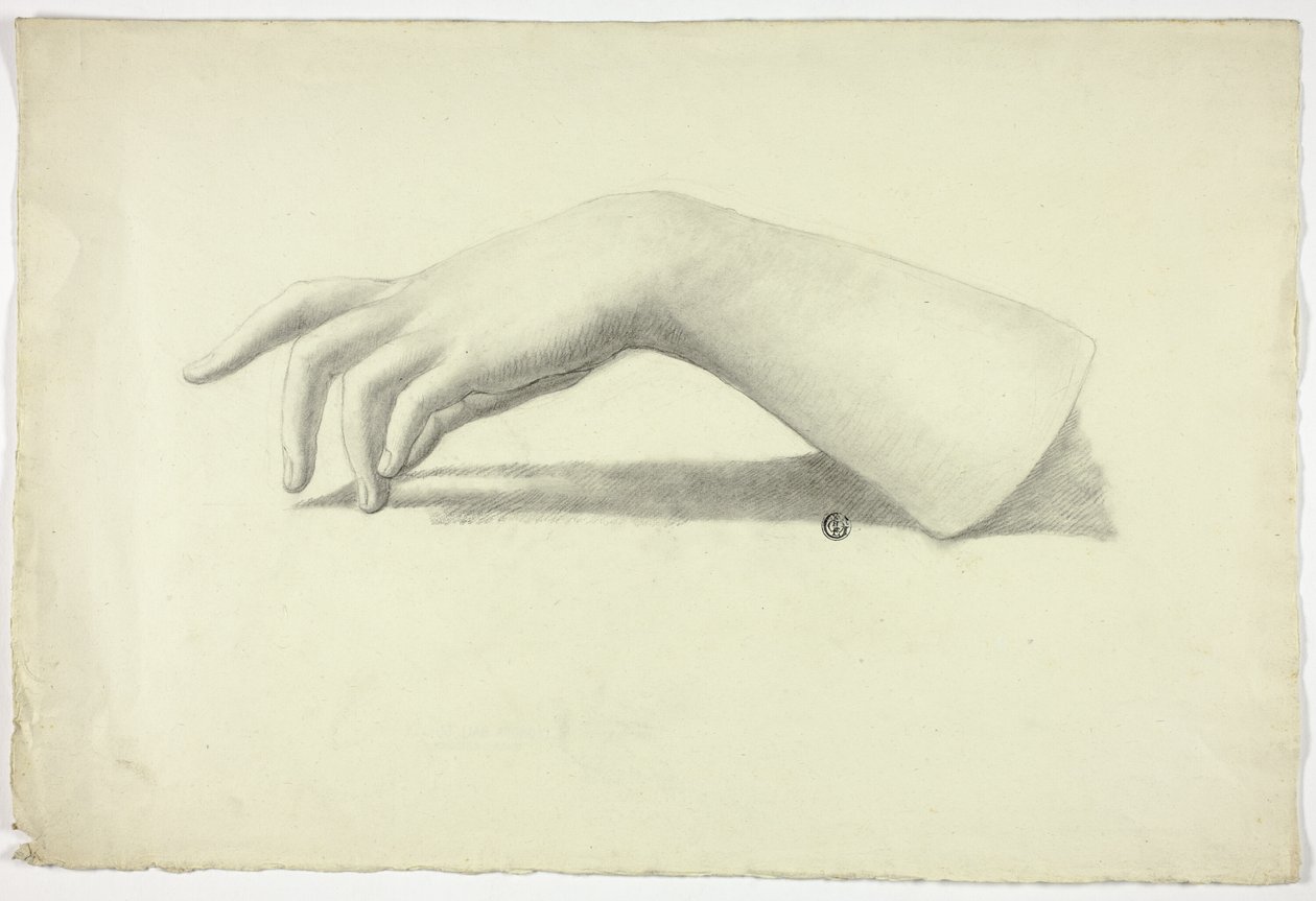 Vänster underarm och hand av Elizabeth Murray