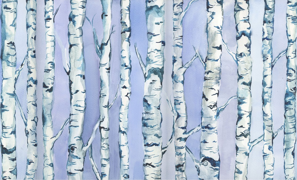 Silverbirch Forest, 2018 (akvarell och akryl) av Elizabeth Rider