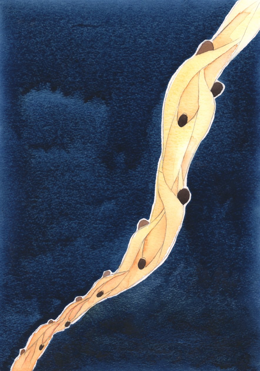 Våra förböner för de heliga själarna i skärselden, i Jesu namn, är som ett rep som drar dem mot himlen, 2002 (w/c på papper) av Elizabeth Wang