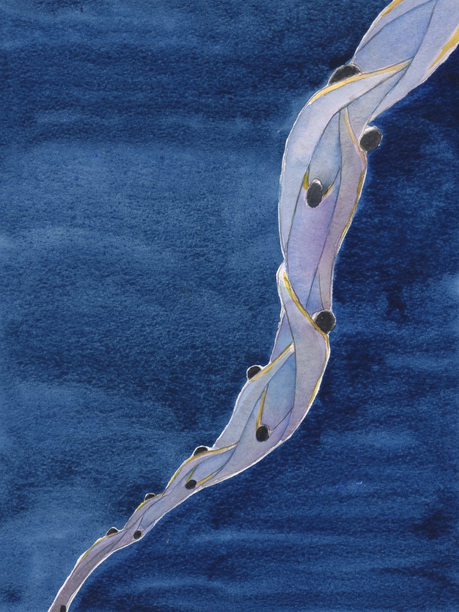 Våra förböner för de heliga själarna i skärselden, i Jesu namn, är som ett rep som drar dem mot himlen, 2002 (w/c på papper) av Elizabeth Wang
