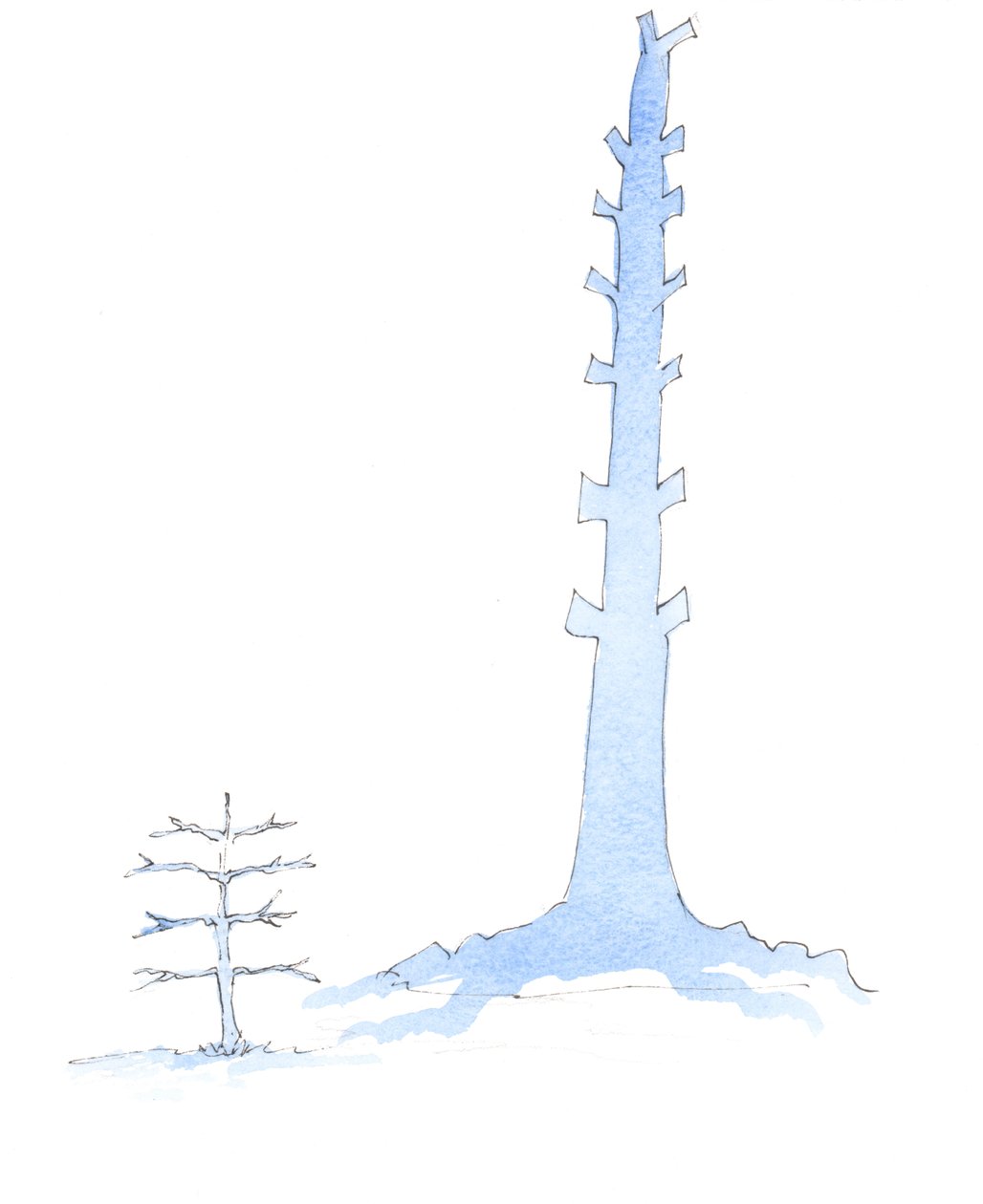 Kyrkan har växt, i takt med att en gigantisk ek växer från en planta, 2003 (w/c på papper) av Elizabeth Wang