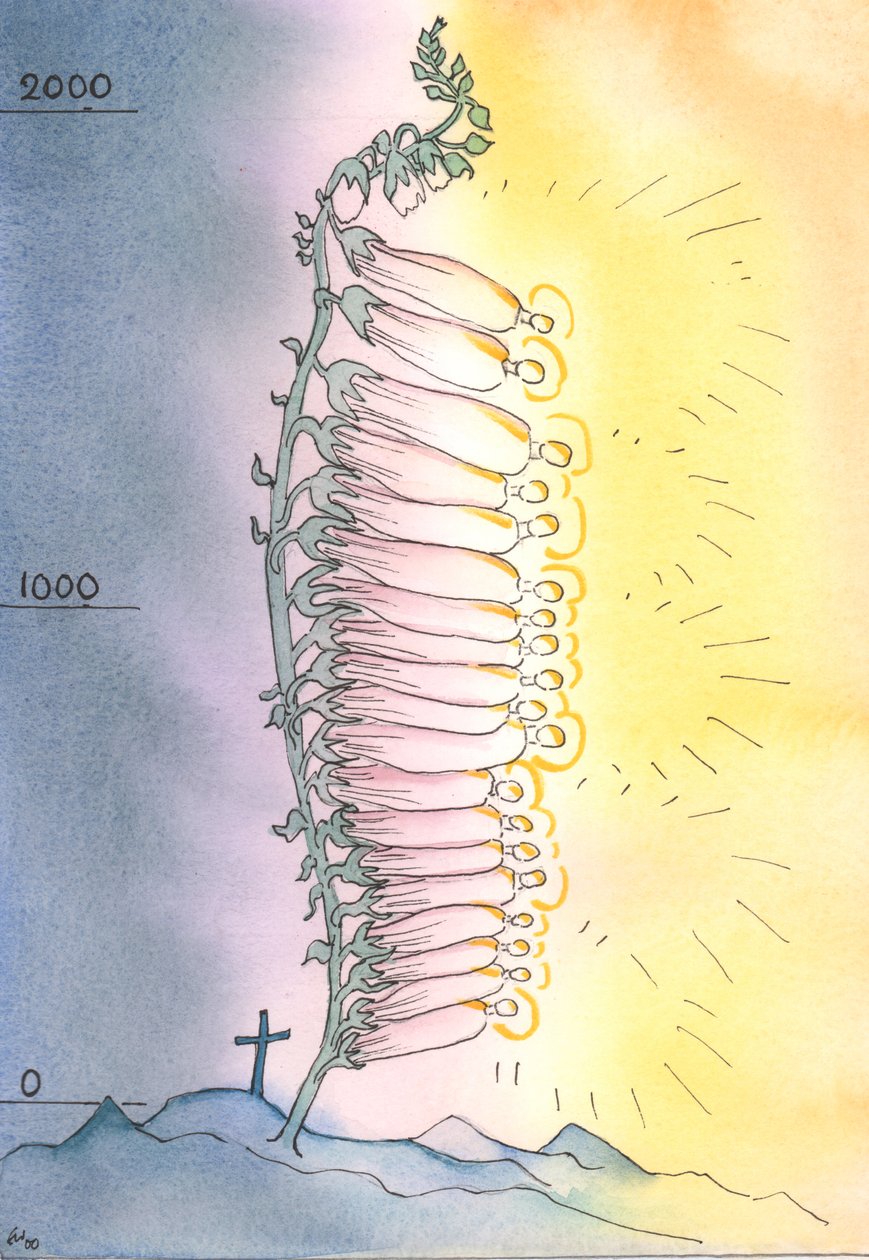 Kyrkan sätter ut levande skott av helighet för att blomma i alla tider, 2003 (w/c på papper) av Elizabeth Wang