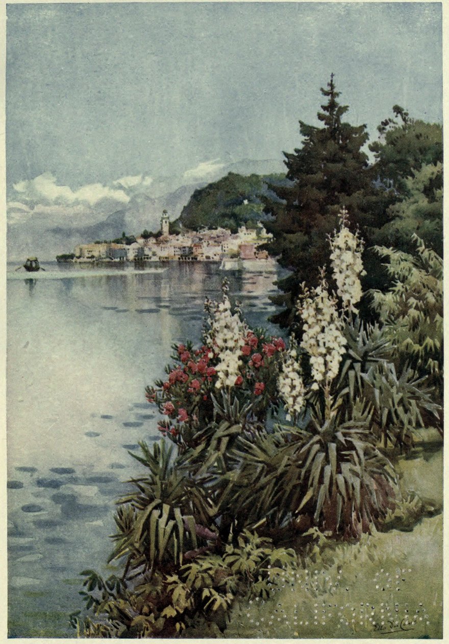A Group of Yuccas, Villa Melzi, Lago di Como, Illustration från "The Italian Lakes" av Richard Bagot av Ella Du Cane