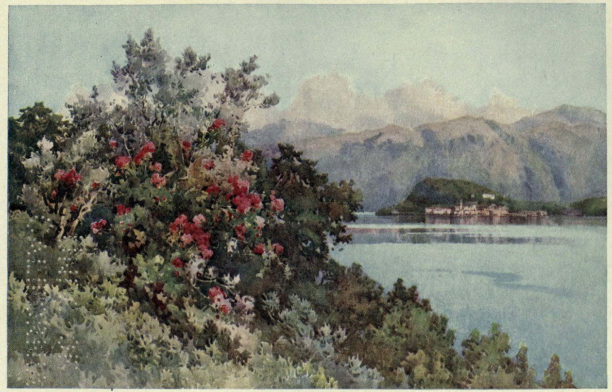 Rosor, Villa Carlotta, Lago di Como, Illustration från "De italienska sjöarna" av Richard Bagot av Ella Du Cane
