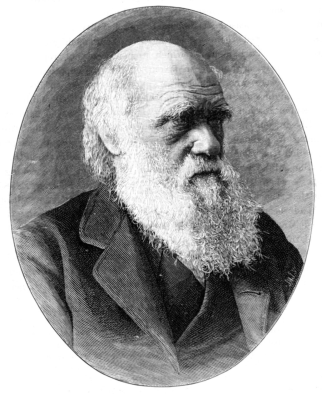Charles Darwin, engelsk naturforskare från 1800-talet, 1900. av Elliott and Fry