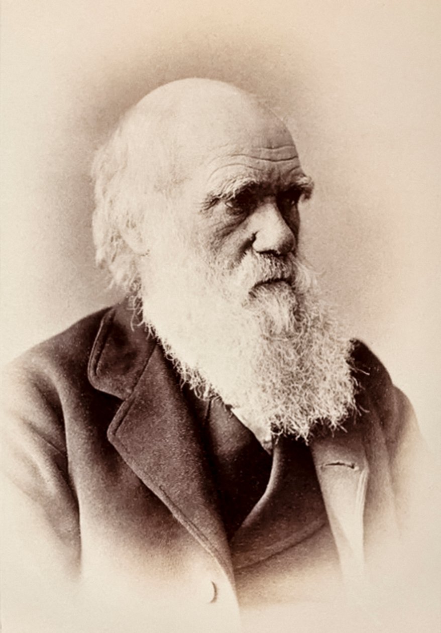 Charles Darwin: engelsk naturforskare av Elliott und Fry Studio