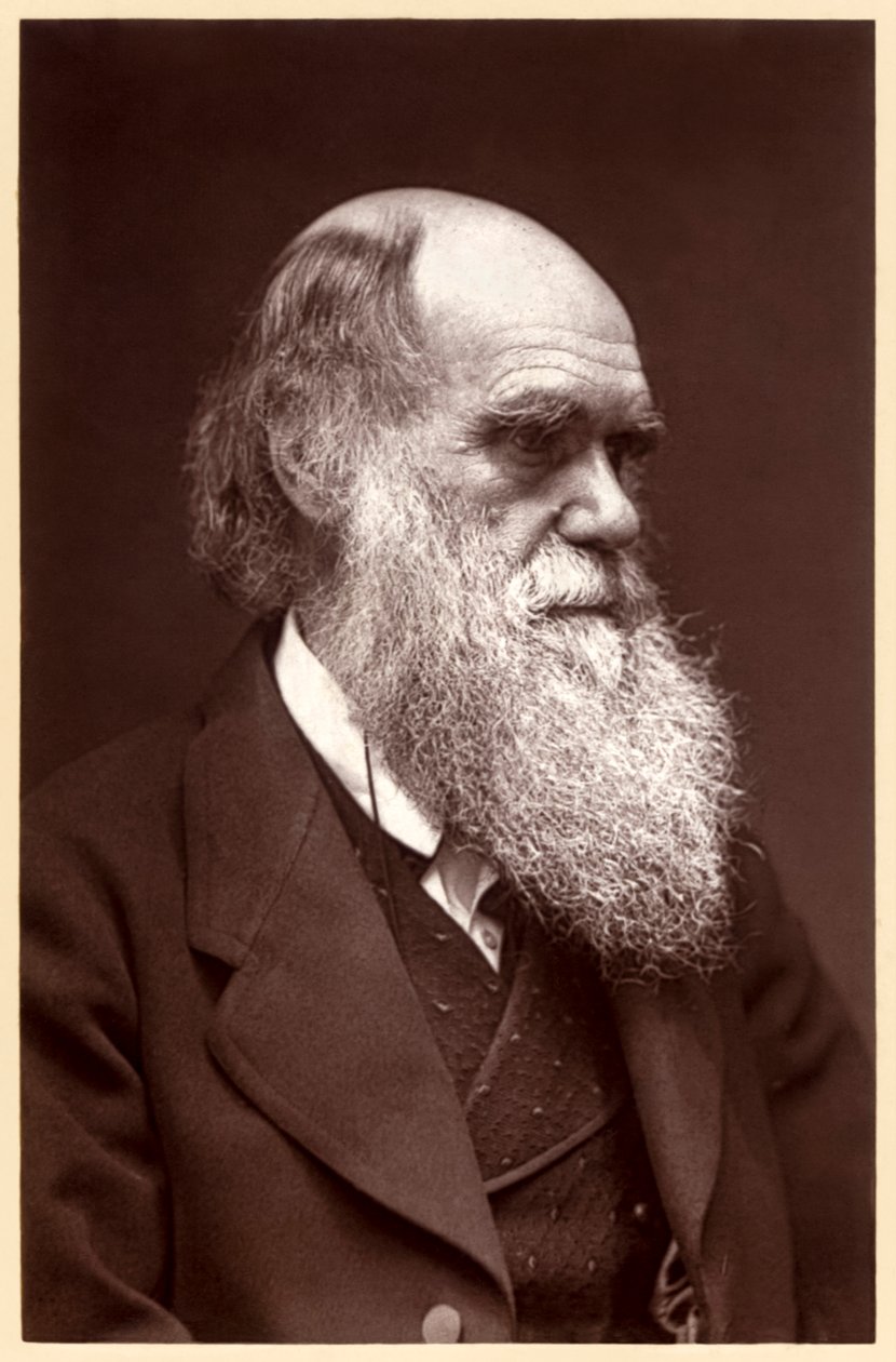 Charles Darwin: engelsk naturforskare av Elliott und Fry Studio