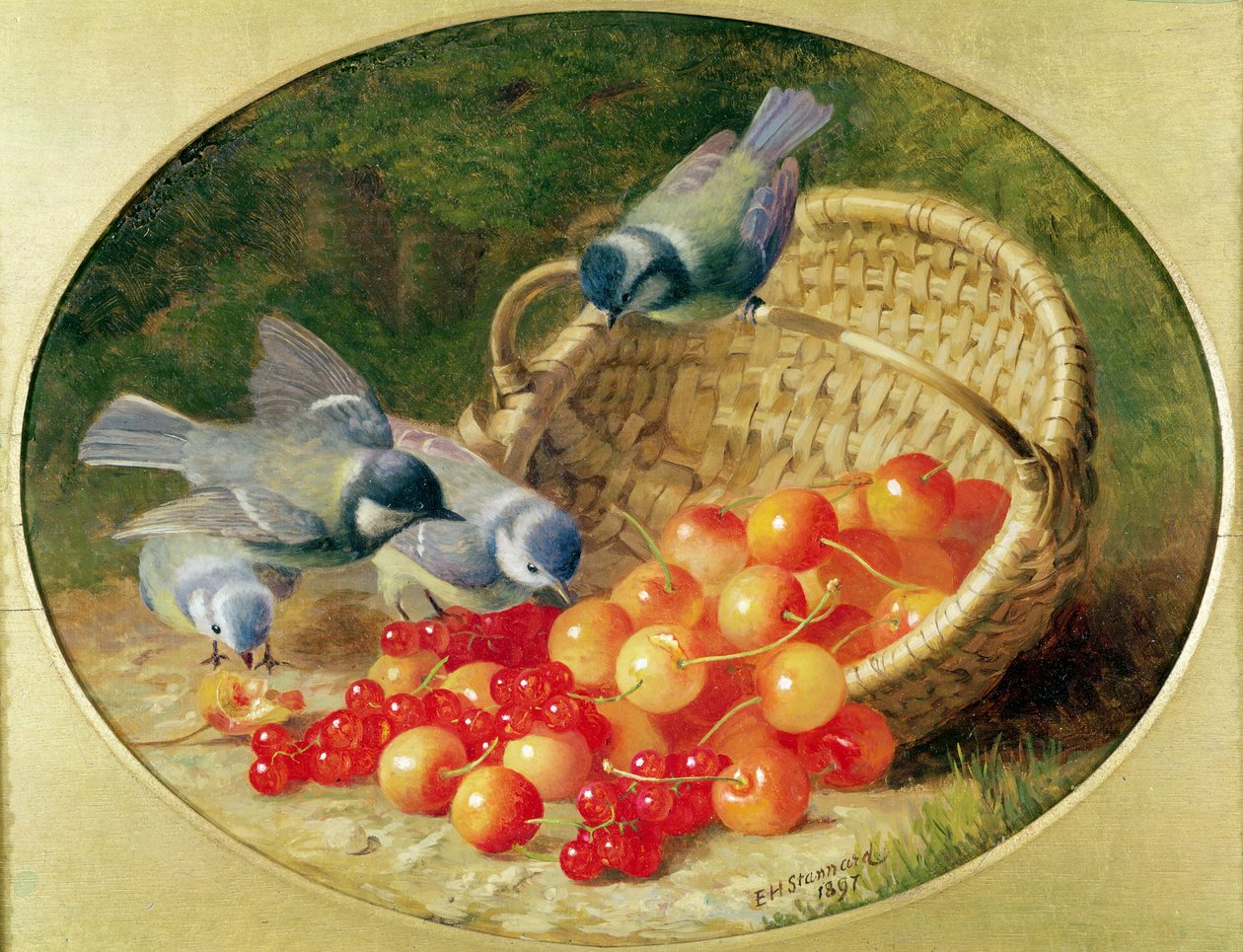 Blåmesar som pickar i körsbär, 1897 av Eloise Harriet Stannard