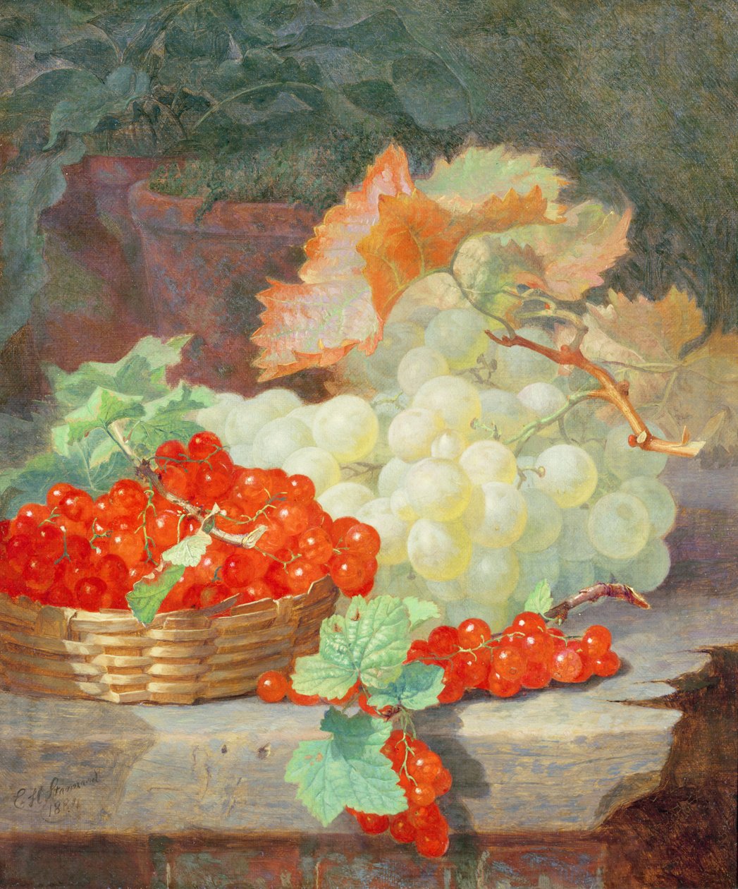 Röda vinbär och vindruvor, 1864 av Eloise Harriet Stannard