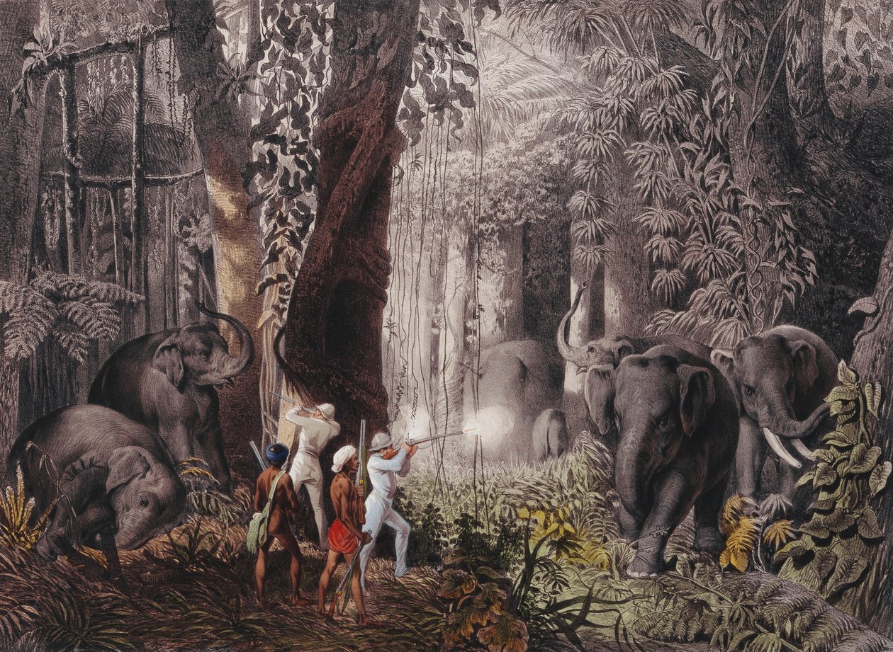 Resa... i Ostindien, Ceylon, Java, Kina och Bengalen av Emanuel Andrasy