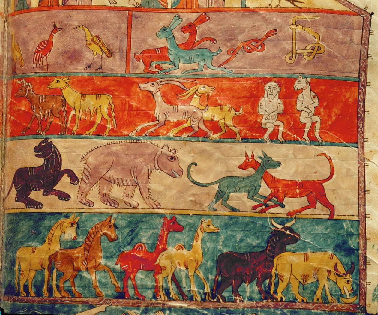 Djur inuti arken av Emeterio the Monk