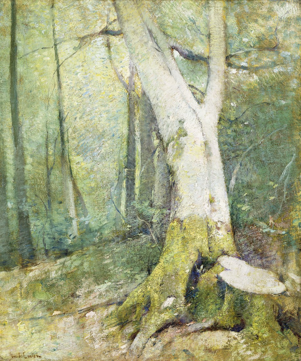 Inre skogsmark av Emil Carlsen