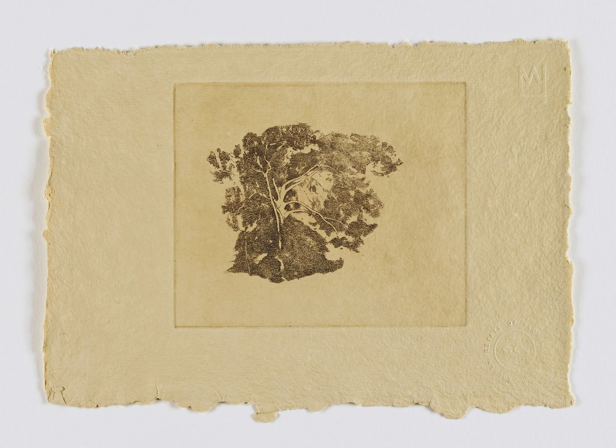 Trädstudie (fm. portfölj) av Emil Carlsen