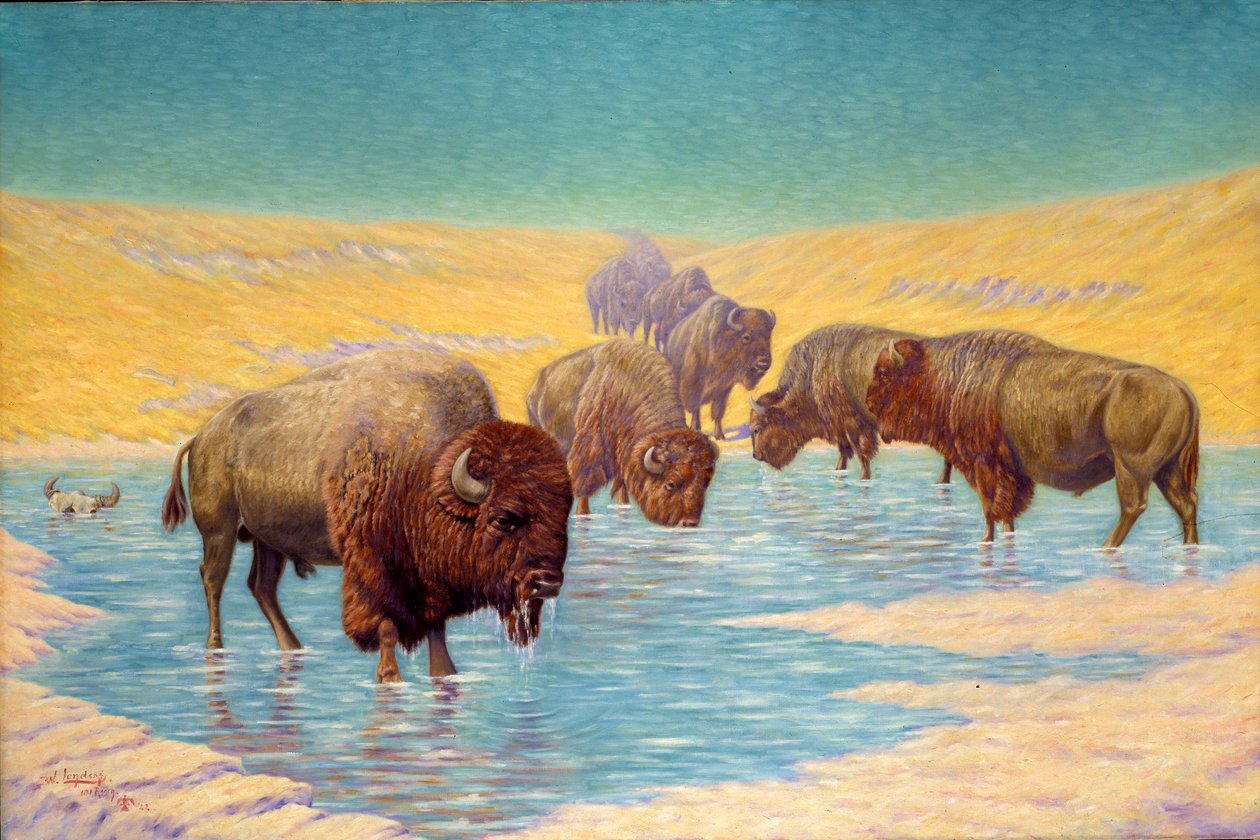 Buffalo Scene av Emil W. Lenders