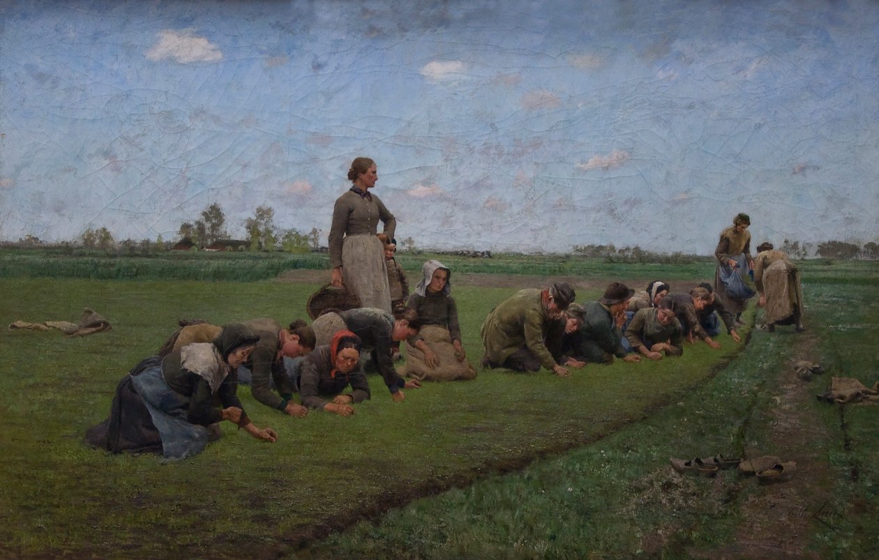  Vlaswieden in Vlaanderenn  av Emile Claus