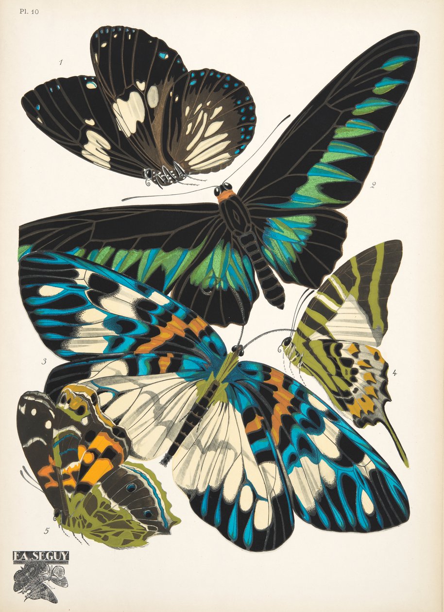 Tallrik 10, från Butterflies, pub. 1925 (stenciltryck) av Émile Allain Séguy