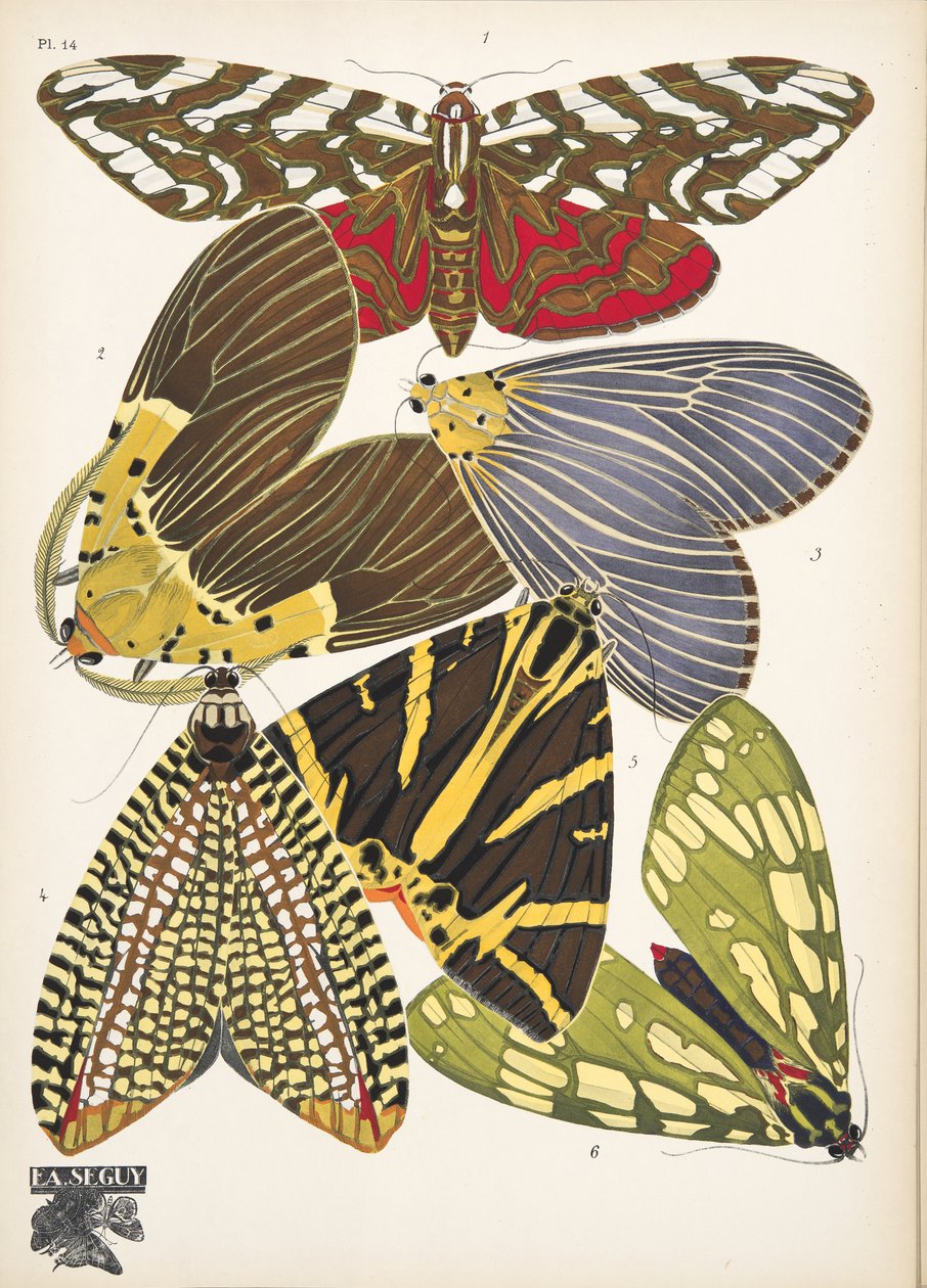 Tallrik 14, från Butterflies, pub. 1925 (stenciltryck) av Émile Allain Séguy