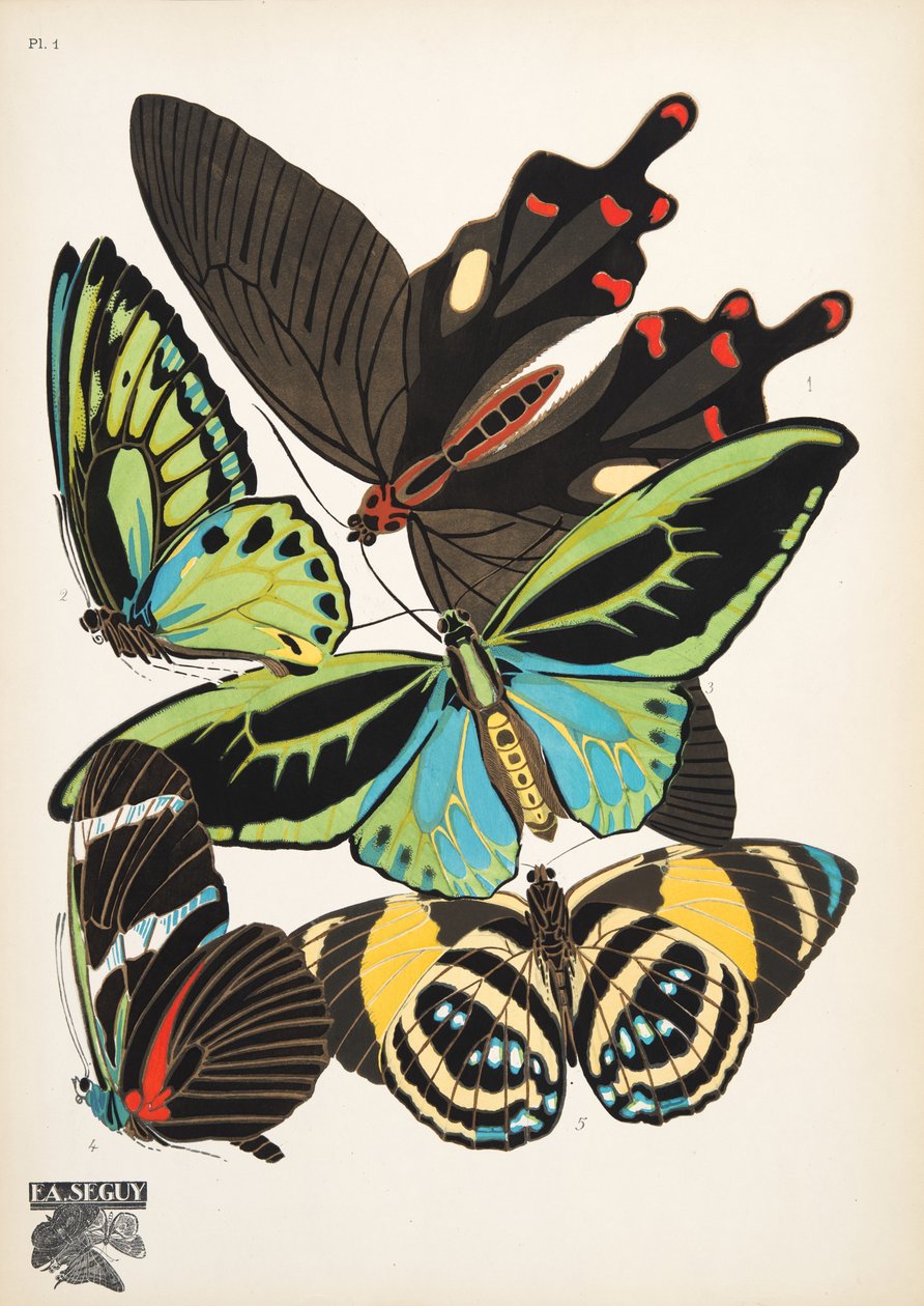 Tallrik 1, från Butterflies, pub. 1925 (stenciltryck) av Émile Allain Séguy