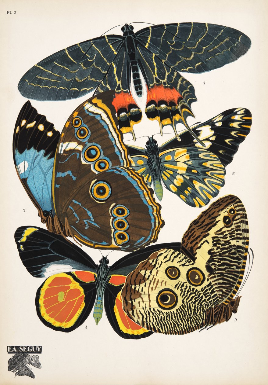 Tallrik 2, från Butterflies, pub. 1925 (stenciltryck) av Émile Allain Séguy