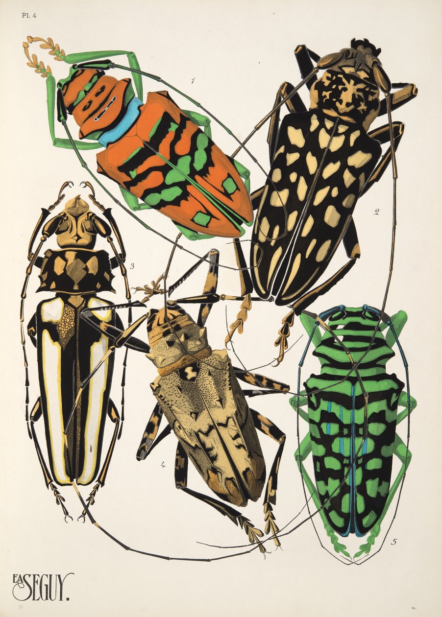 Tallrik 4 från Insectes, pub. 1930-tal (pochoirtryck) av Émile Allain Séguy