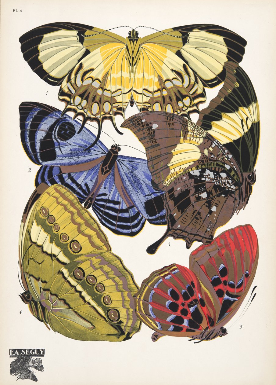 Tallrik 4, från Butterflies, pub. 1925 (stenciltryck) av Émile Allain Séguy