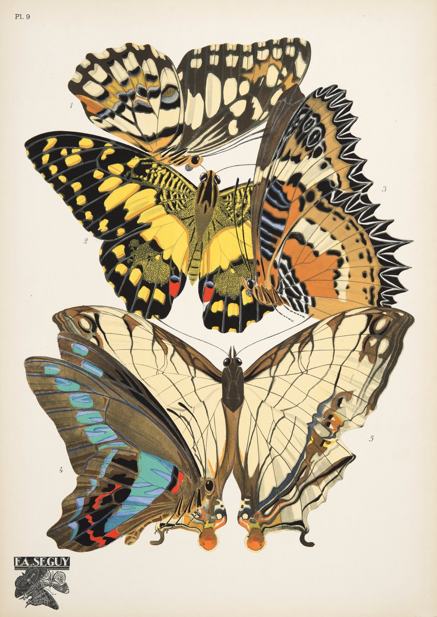 Tallrik 9, från Butterflies, pub. 1925 (stenciltryck) av Émile Allain Séguy