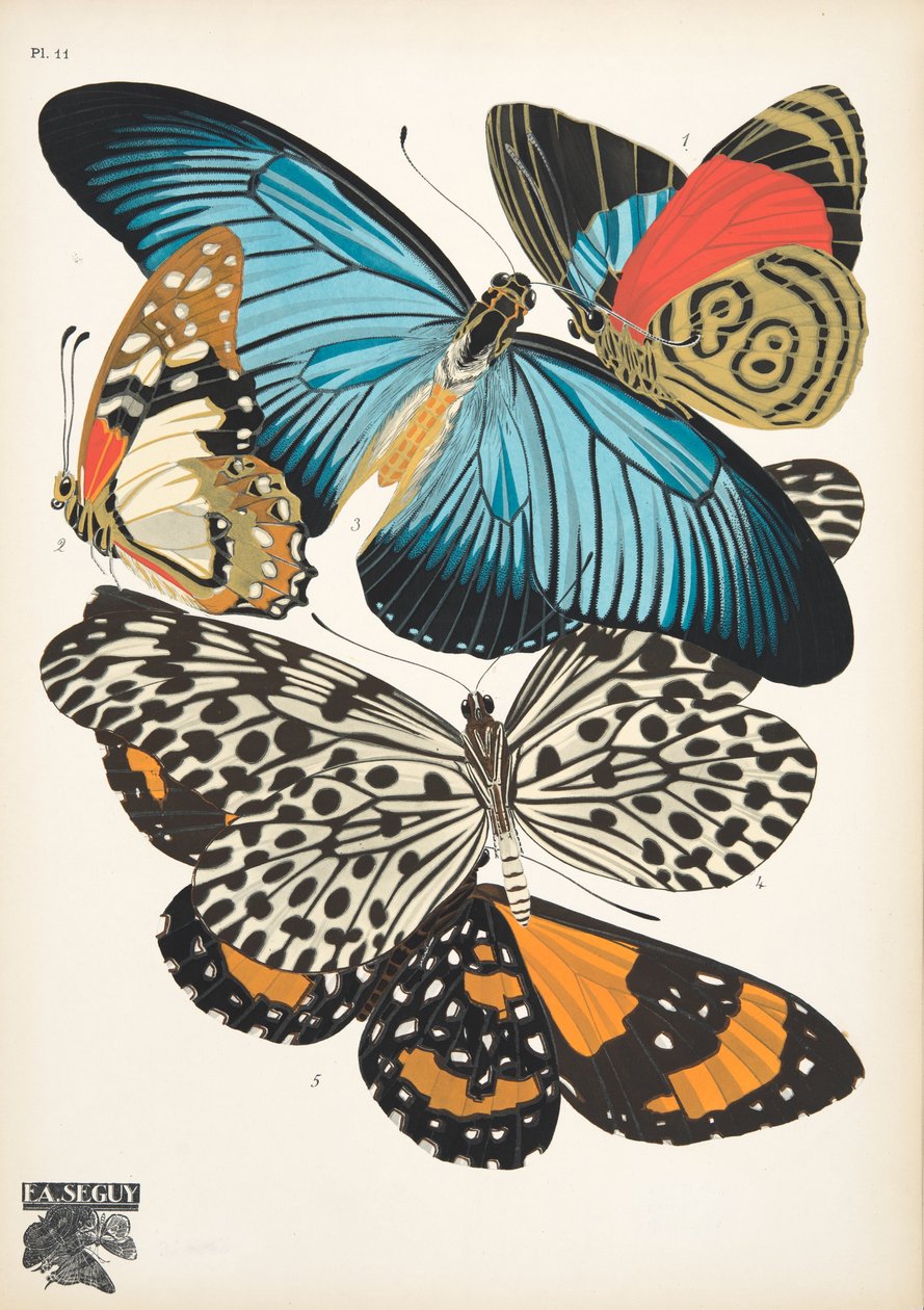 Tallrik 11, från Butterflies, pub. 1925 (stenciltryck) av Émile Allain Séguy