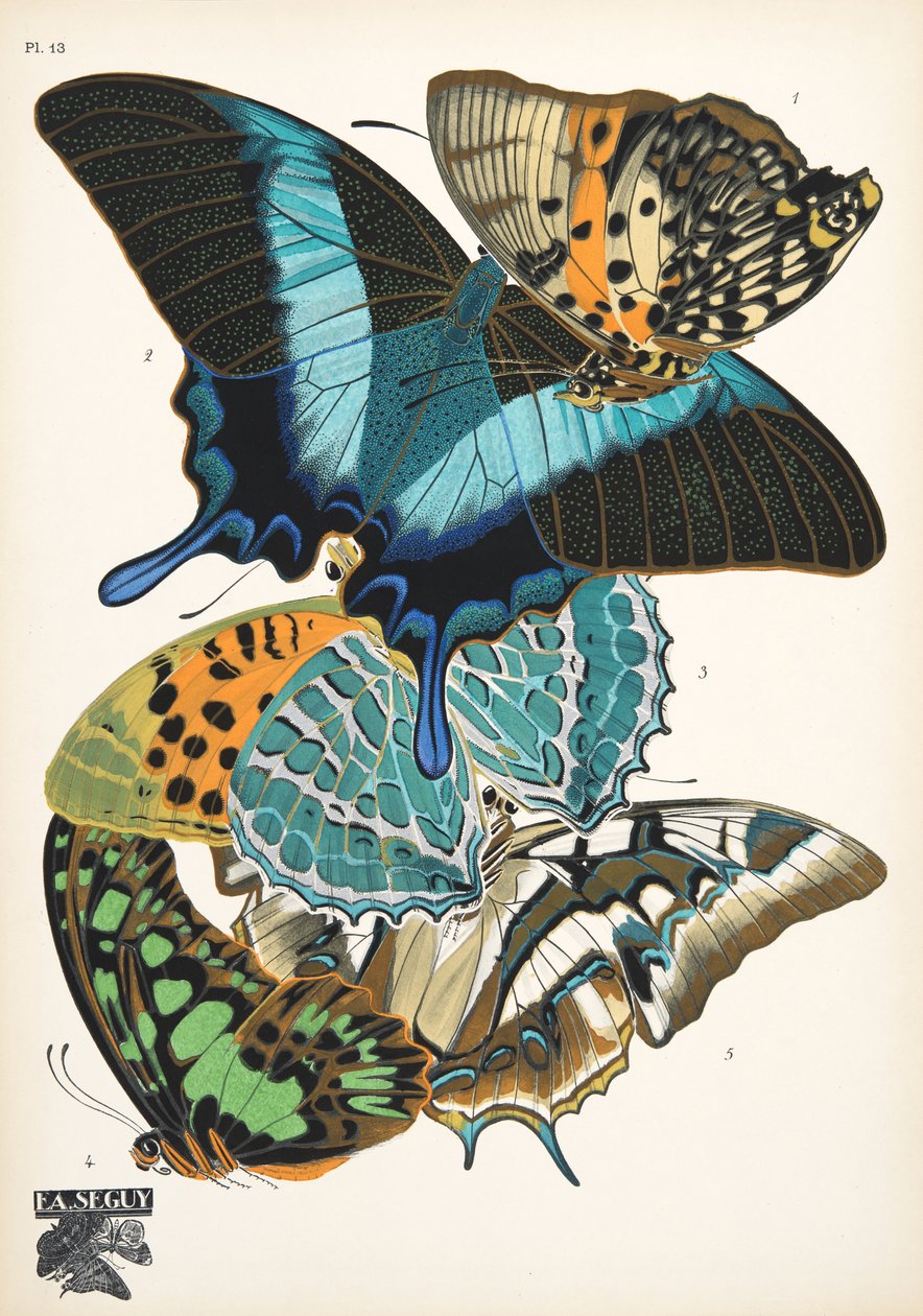 Tallrik 13, från Butterflies, pub. 1925 (stenciltryck) av Émile Allain Séguy