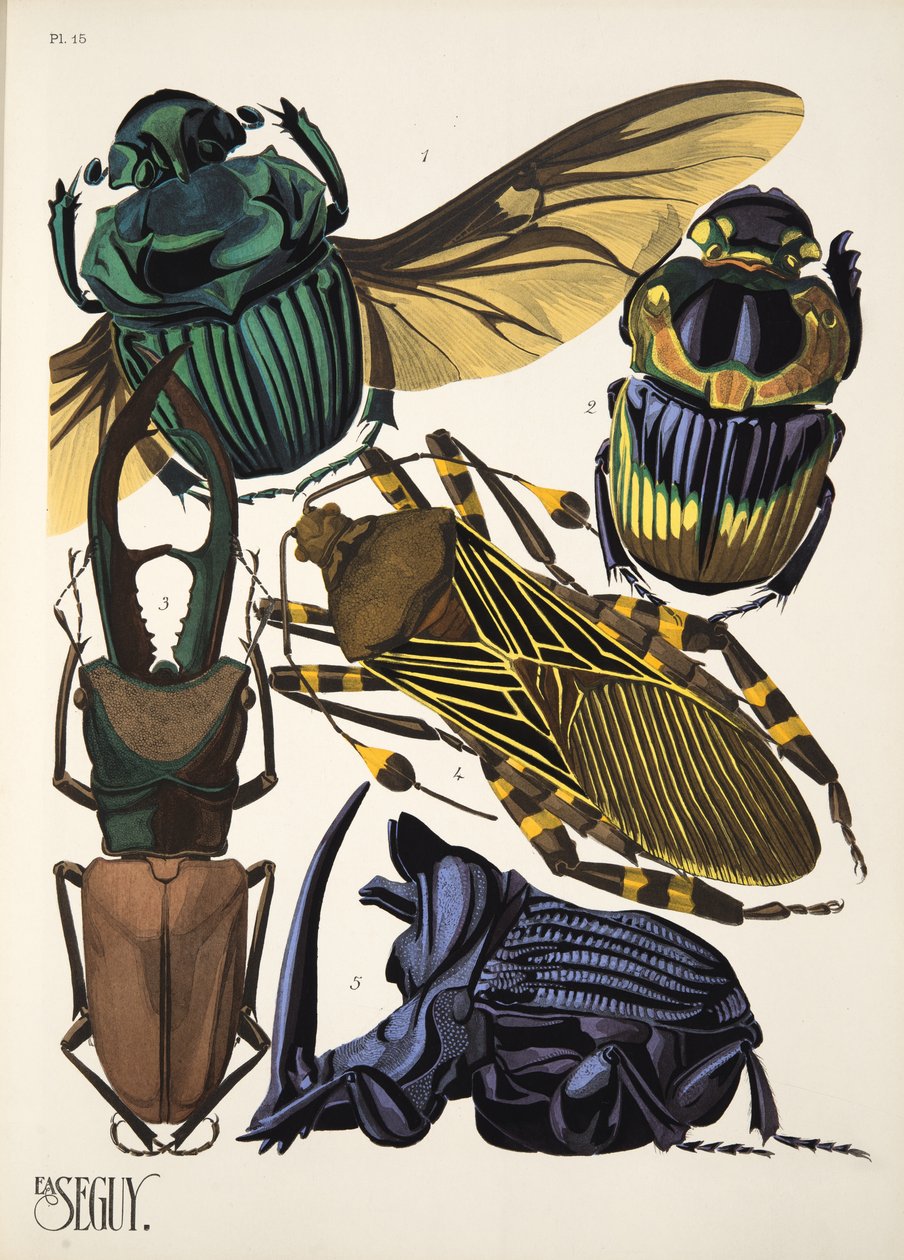 Tallrik 15 från Insectes, pub. 1930-tal (pochoirtryck) av Émile Allain Séguy