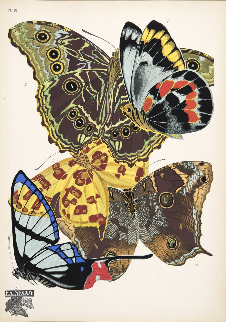 Tallrik 15, från Butterflies, pub. 1925 (stenciltryck) av Émile Allain Séguy