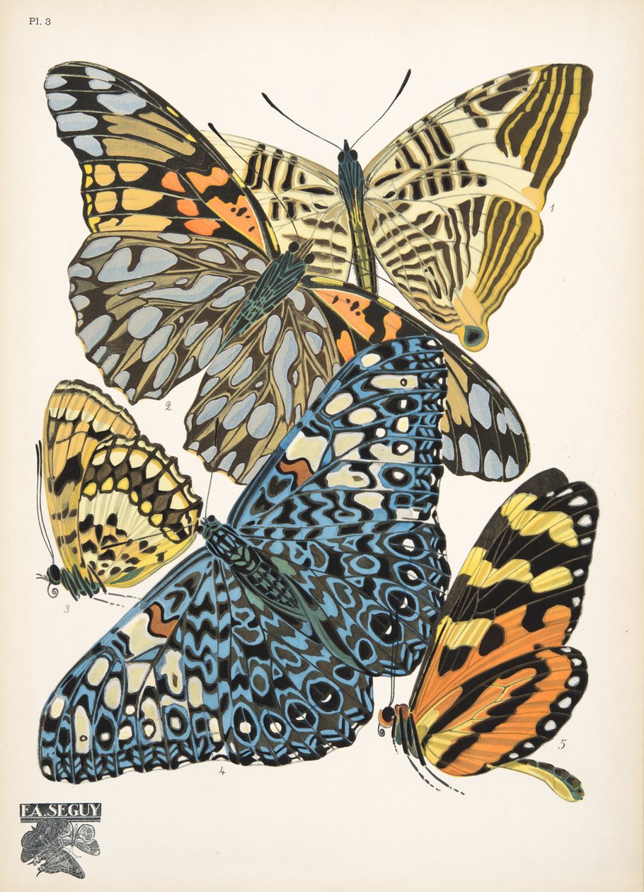 Tallrik 3, från Butterflies, pub. 1925 (stenciltryck) av Émile Allain Séguy