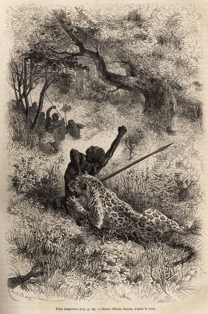 En leopard hoppar på en man och biter honom grymt i ryggen, i närheten av Bambare (Kongo), graverar efter en teckning av Emile Bayard, som illustrerar David Livingstones sista dagbok (1813-1873), 1866-1873, publicerad i " ”Le tour du monde”” 1875, red av Emile Antoine Bayard