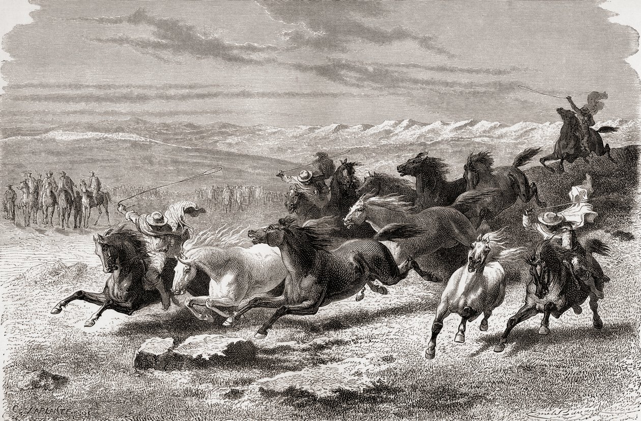 Argentinska gauchos som samlar vilda hästar, illustration från 