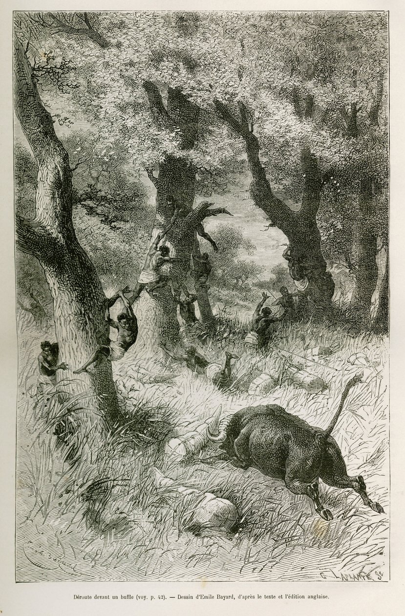 Expeditionens deroute framför en buffelsoldat, teckning av Emile Bayard för att illustrera berättelsen: Genom Afrika, från Zanzibar (Tanzania) till Benguela (Angola), 1872-1876, av löjtnant V.H. Cameron. Gravyr i Le tour du monde av Emile Antoine Bayard