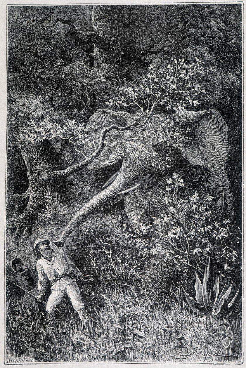 Livingstone överraskad av en elefant i "Le Tour du Monde" av Emile Antoine Bayard
