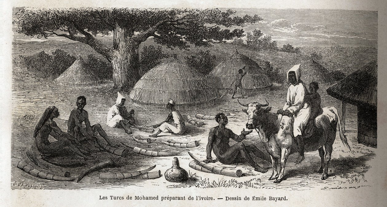 Beredning av elfenben, för en turkisk handlare, Uganda, teckning av Emile Bayard (1837-1891), som illustrerar kapten Spekes upptäcktsresa i Afrika från 1860 till 1863. Gravyr i "" Le tour du monde", redigerad av Edouard Charton av Emile Antoine Bayard