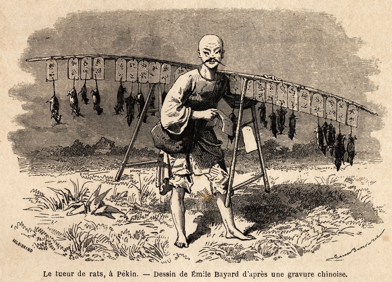 Råttmördaren i Pekin. Teckning av Emile Bayard (1837-1891), för att illustrera Shanghais resa till Moskva, från 1859 till 1862, av M. de Bourboulon, Frankrikes minister till Kina. Gravyr i "" Le tour du monde"", redigerad av Edouard Charton av Emile Antoine Bayard