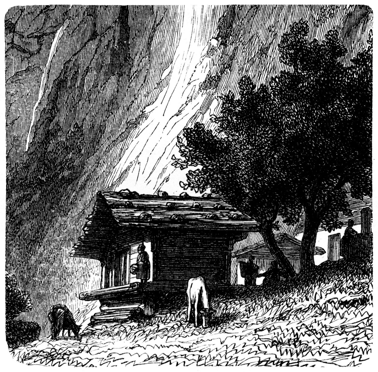 Utsikt över Alperna: gammal stuga vid foten av en klippa med kor som betar (bete). Illustration av Emile Bayard (detalj) för boken Les Montagnes d